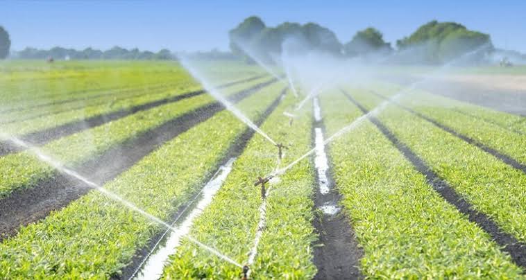 Sustainable Farming